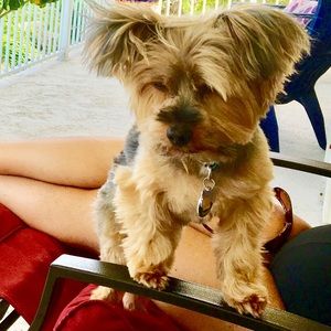 Meet your Posher, Deborah